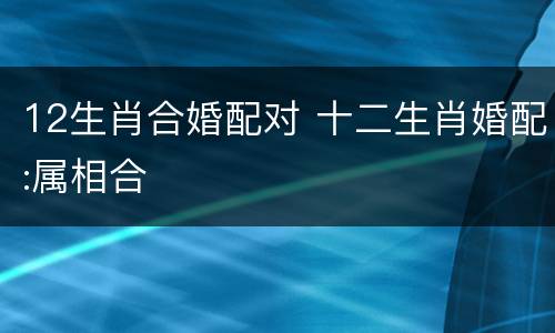 12生肖合婚配对 十二生肖婚配:属相合
