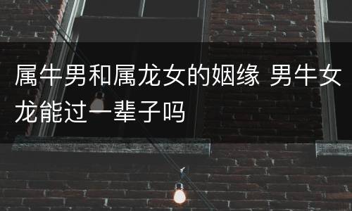 属牛男和属龙女的姻缘 男牛女龙能过一辈子吗