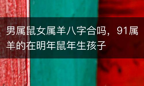 男属鼠女属羊八字合吗，91属羊的在明年鼠年生孩子
