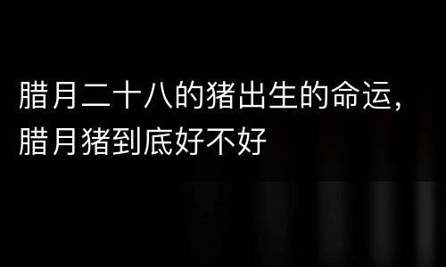 腊月二十八的猪出生的命运，腊月猪到底好不好
