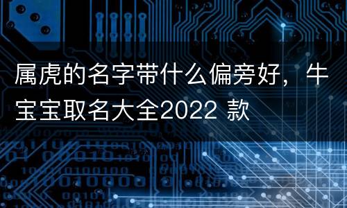 属虎的名字带什么偏旁好，牛宝宝取名大全2022 款
