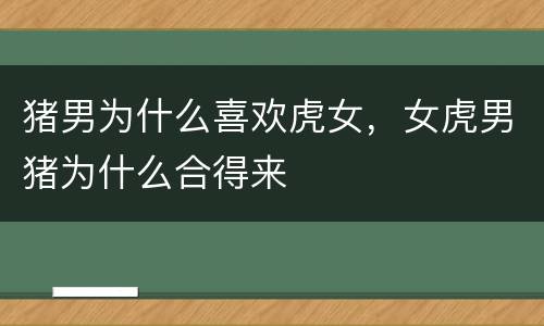 猪男为什么喜欢虎女，女虎男猪为什么合得来