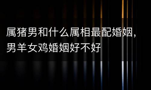 属猪男和什么属相最配婚姻，男羊女鸡婚姻好不好