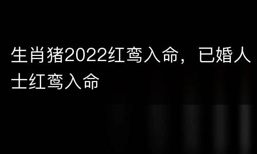 生肖猪2022红鸾入命，已婚人士红鸾入命