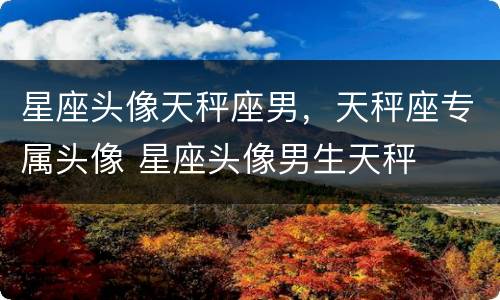 星座头像天秤座男，天秤座专属头像 星座头像男生天秤