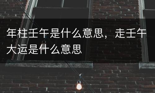 年柱壬午是什么意思，走壬午大运是什么意思