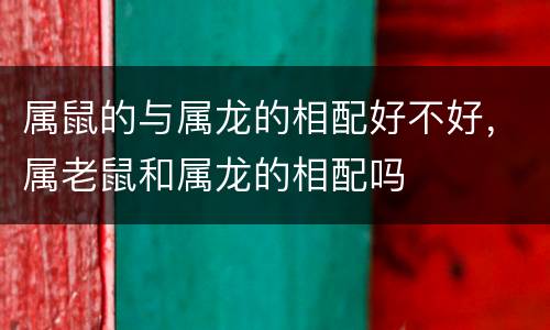 属鼠的与属龙的相配好不好，属老鼠和属龙的相配吗