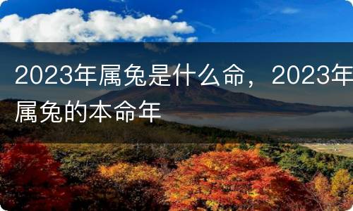2023年属兔是什么命，2023年属兔的本命年