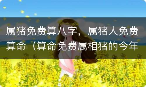 属猪免费算八字，属猪人免费算命（算命免费属相猪的今年命运）