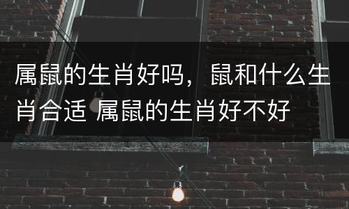 属鼠的生肖好吗，鼠和什么生肖合适 属鼠的生肖好不好