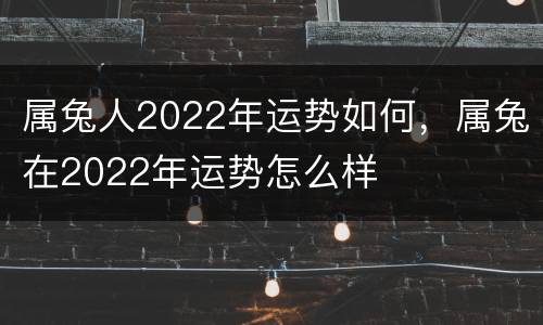 属兔人2022年运势如何，属兔在2022年运势怎么样