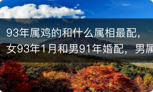 93年属鸡的和什么属相最配，女93年1月和男91年婚配，男属