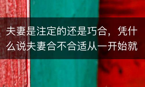 夫妻是注定的还是巧合，凭什么说夫妻合不合适从一开始就注定了？
