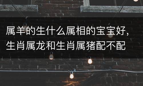 属羊的生什么属相的宝宝好，生肖属龙和生肖属猪配不配