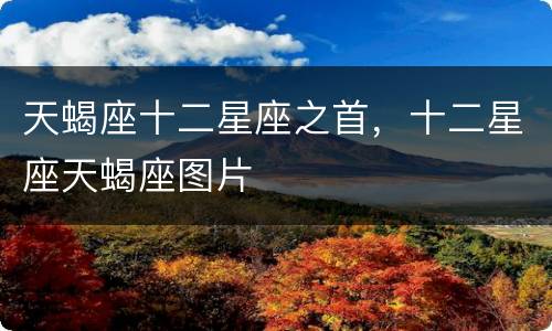 天蝎座十二星座之首，十二星座天蝎座图片