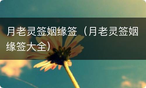 月老灵签姻缘签（月老灵签姻缘签大全）