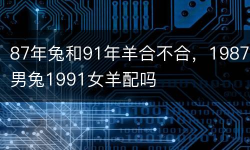 87年兔和91年羊合不合，1987男兔1991女羊配吗