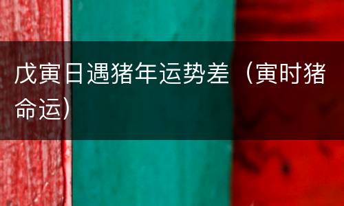 戊寅日遇猪年运势差（寅时猪命运）