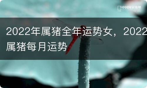 2022年属猪全年运势女，2022属猪每月运势
