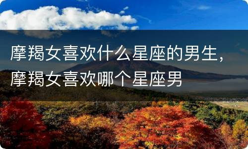 摩羯女喜欢什么星座的男生，摩羯女喜欢哪个星座男