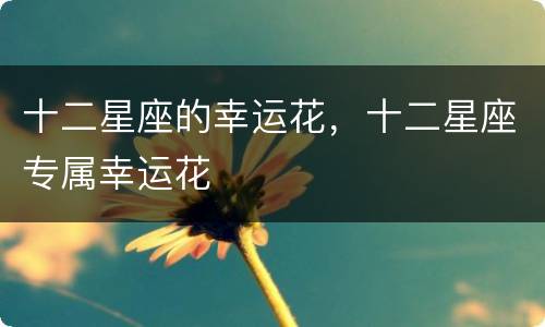 十二星座的幸运花，十二星座专属幸运花
