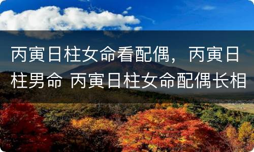 丙寅日柱女命看配偶，丙寅日柱男命 丙寅日柱女命配偶长相