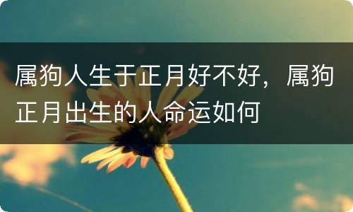 属狗人生于正月好不好，属狗正月出生的人命运如何