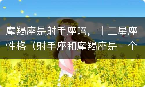 摩羯座是射手座吗，十二星座性格（射手座和摩羯座是一个星座吗）