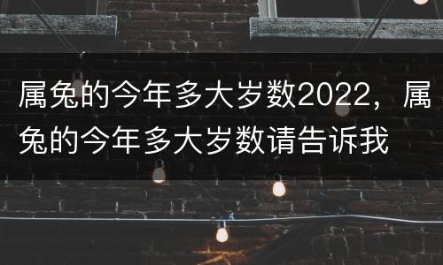 属兔的今年多大岁数2022，属兔的今年多大岁数请告诉我