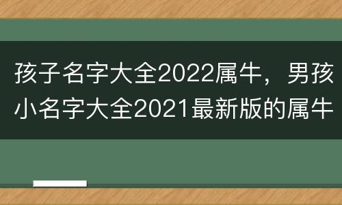 孩子名字大全2022属牛，男孩小名字大全2021最新版的属牛
