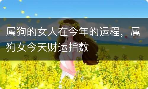 属狗的女人在今年的运程，属狗女今天财运指数