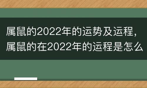属鼠的2022年的运势及运程，属鼠的在2022年的运程是怎么样