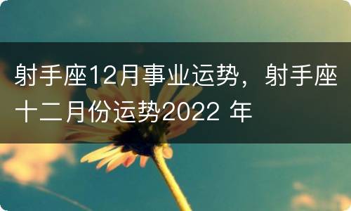 射手座12月事业运势，射手座十二月份运势2022 年