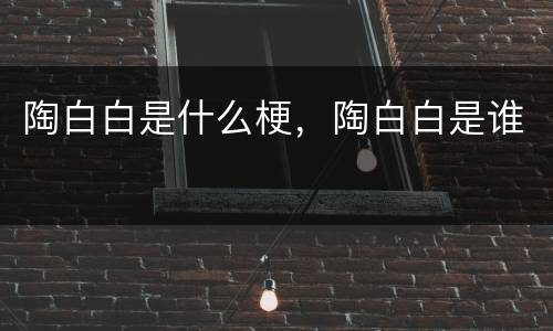 陶白白是什么梗，陶白白是谁