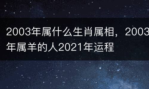 2003年属什么生肖属相，2003年属羊的人2021年运程