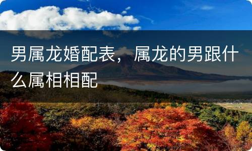 男属龙婚配表，属龙的男跟什么属相相配
