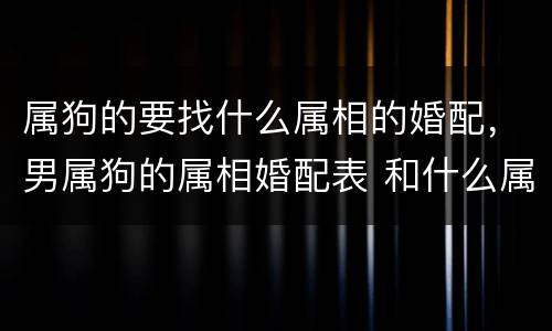 属狗的要找什么属相的婚配，男属狗的属相婚配表 和什么属相的女生最配