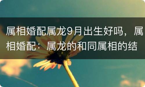 属相婚配属龙9月出生好吗，属相婚配：属龙的和同属相的结婚？