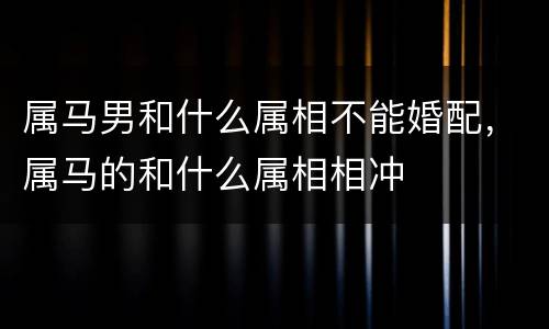 属马男和什么属相不能婚配，属马的和什么属相相冲