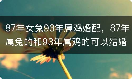 87年女兔93年属鸡婚配，87年属兔的和93年属鸡的可以结婚吗