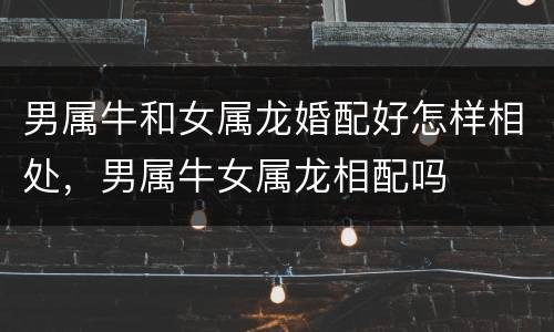 男属牛和女属龙婚配好怎样相处，男属牛女属龙相配吗
