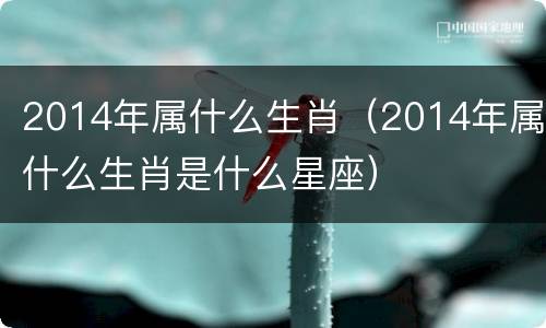 2014年属什么生肖（2014年属什么生肖是什么星座）