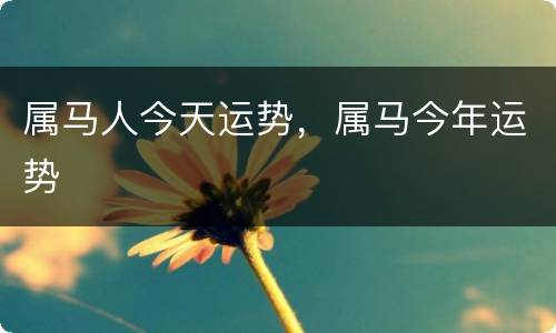 属马人今天运势，属马今年运势