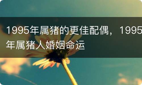 1995年属猪的更佳配偶，1995年属猪人婚姻命运