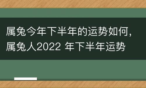 属兔今年下半年的运势如何，属兔人2022 年下半年运势