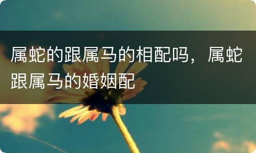 属蛇的跟属马的相配吗，属蛇跟属马的婚姻配