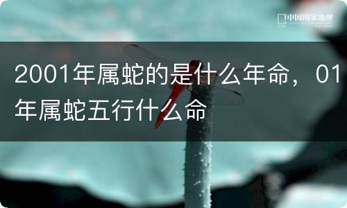 2001年属蛇的是什么年命，01年属蛇五行什么命