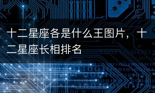 十二星座各是什么王图片，十二星座长相排名