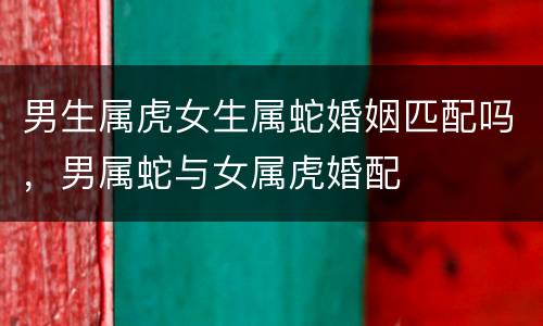 男生属虎女生属蛇婚姻匹配吗，男属蛇与女属虎婚配