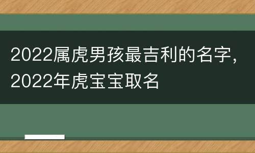 2022属虎男孩最吉利的名字，2022年虎宝宝取名